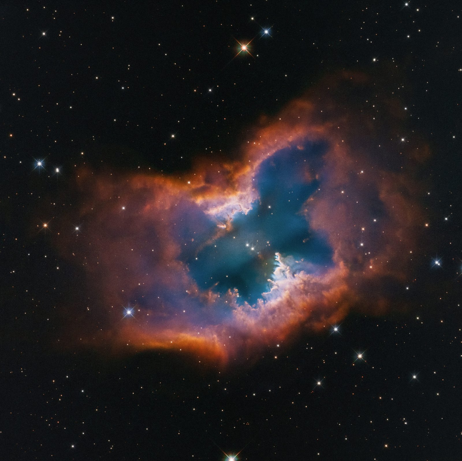 Esta imagem do Telescópio Espacial Hubble captura a beleza da nebulosa planetária NGC 2899, semelhante a uma mariposa. Este objeto tem um fluxo de gás diagonal, bipolar e cilíndrico. Este é impulsionado pela radiação e ventos estelares de uma anã branca de quase 22.000 graus Celsius no centro. De fato, pode haver duas estrelas companheiras que estão interagindo e esculpindo a nebulosa, que é comprimida no meio por um anel fragmentado ou toro – parecendo um donut meio comido. Ela tem uma floresta de "pilares" gasosos que apontam para a fonte de radiação e ventos estelares. As cores são de hidrogênio e oxigênio brilhantes. A nebulosa fica a aproximadamente 4.500 anos-luz de distância na constelação do sul de Vela. [Descrição da imagem: A nebulosa planetária NGC 2899 tem o formato de um único macarrão, com suas bordas apontadas para cima, mas seu toro central de borda é semitransparente no meio. As bordas superior e inferior são espessas e alaranjadas. O centro é azul e verde semitransparentes. A região central, mais ampla, assemelha-se a uma mariposa, também preenchida com azul e verde semitransparentes. Há duas estrelas brancas, semelhantes a pontas de alfinetes, com picos de difração em direção ao centro. Imediatamente abaixo delas, ligeiramente à direita, está uma orbe azul menor, uma estrela central. A próxima camada de gás e poeira é mais branca, com alguns pilares mais espessos que parecem estar se elevando na parte inferior central. A cor desbota para tons de vermelho e roxo, e depois para laranja.